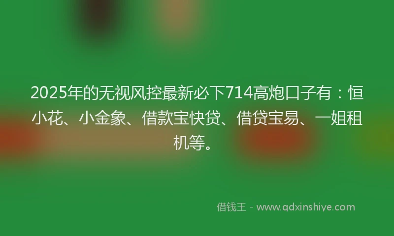 2025年的无视风控最新必下714高炮口子有：恒小花、小金象、借款宝快贷、借贷宝易、一姐租机等。