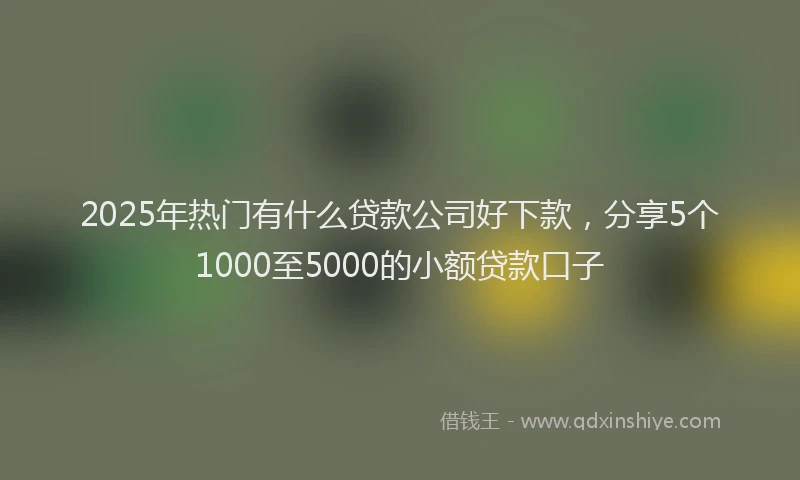2025年热门有什么贷款公司好下款，分享5个1000至5000的小额贷款口子