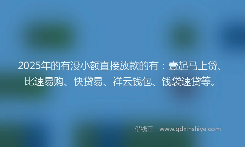 2025年的有没小额直接放款的有：壹起马上贷、比速易购、快贷易、祥云钱包、钱袋速贷等。