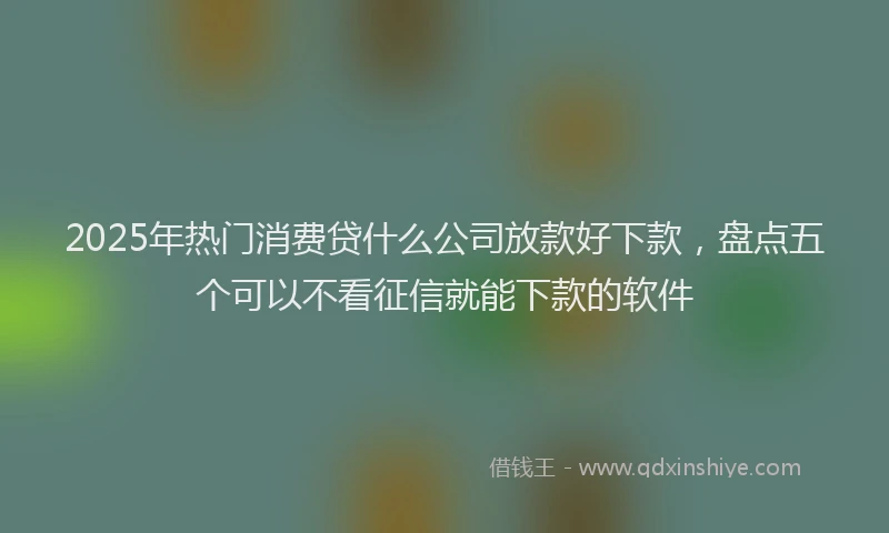 2025年热门消费贷什么公司放款好下款，盘点五个可以不看征信就能下款的软件