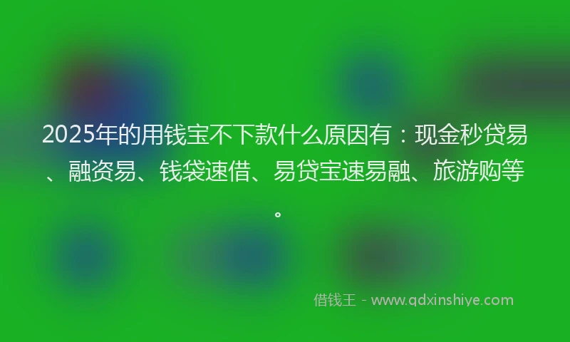 2025年的用钱宝不下款什么原因有：现金秒贷易、融资易、钱袋速借、易贷宝速易融、旅游购等。