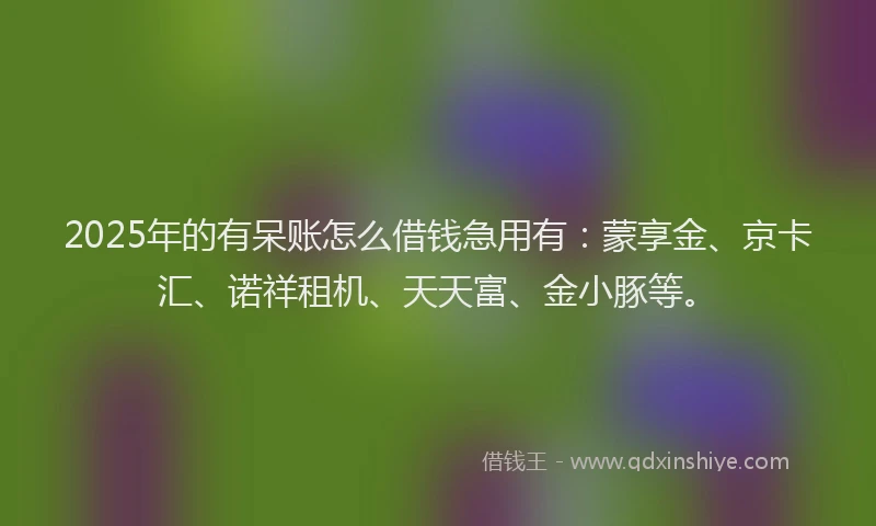 2025年的有呆账怎么借钱急用有：蒙享金、京卡汇、诺祥租机、天天富、金小豚等。