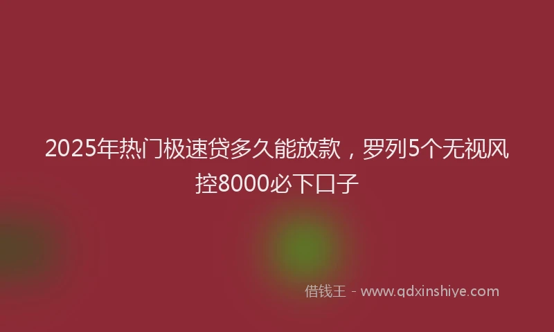 2025年热门极速贷多久能放款，罗列5个无视风控8000必下口子