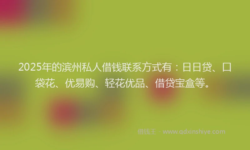 2025年的滨州私人借钱联系方式有：日日贷、口袋花、优易购、轻花优品、借贷宝盒等。