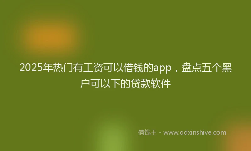 2025年热门有工资可以借钱的app，盘点五个黑户可以下的贷款软件