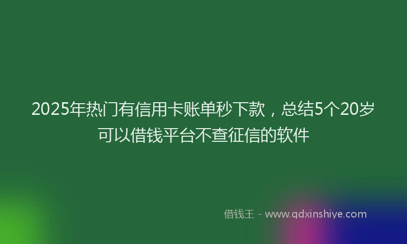 2025年热门有信用卡账单秒下款，总结5个20岁可以借钱平台不查征信的软件