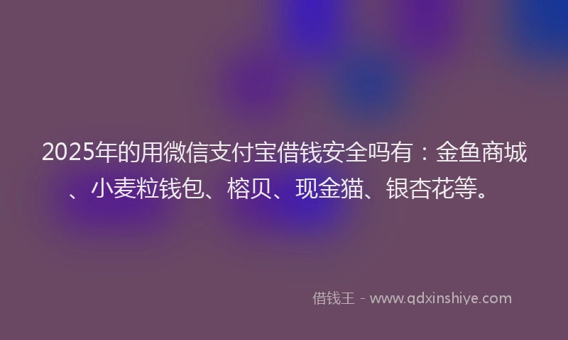 2025年的用微信支付宝借钱安全吗有：金鱼商城、小麦粒钱包、榕贝、现金猫、银杏花等。