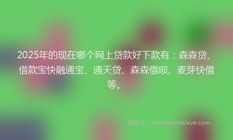 2025年的现在哪个网上贷款好下款有：森森贷、借款宝快融通宝、通天贷、森森借呗、麦芽快借等。