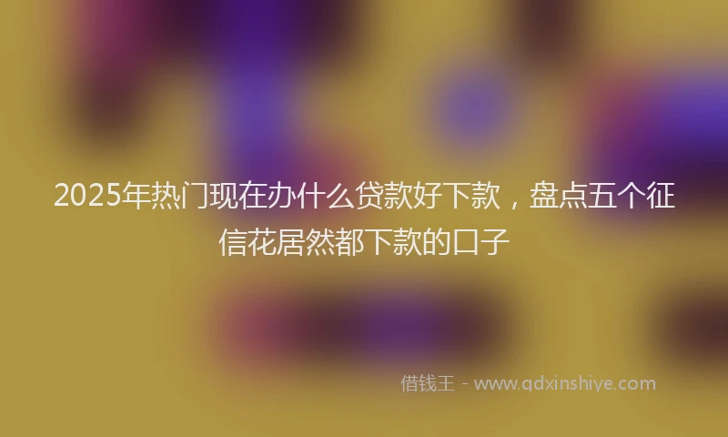 2025年热门现在办什么贷款好下款，盘点五个征信花居然都下款的口子