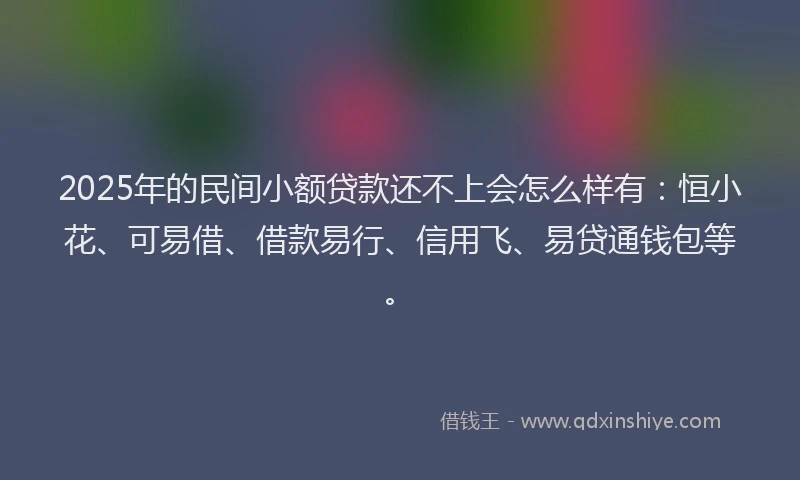 2025年的民间小额贷款还不上会怎么样有：恒小花、可易借、借款易行、信用飞、易贷通钱包等。