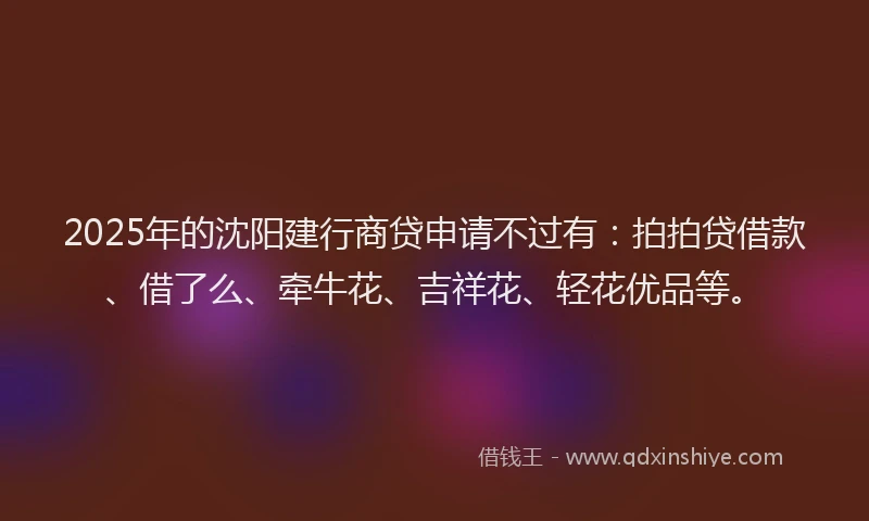 2025年的沈阳建行商贷申请不过有：拍拍贷借款、借了么、牵牛花、吉祥花、轻花优品等。