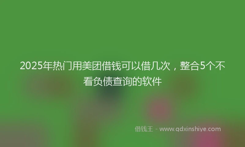 2025年热门用美团借钱可以借几次，整合5个不看负债查询的软件