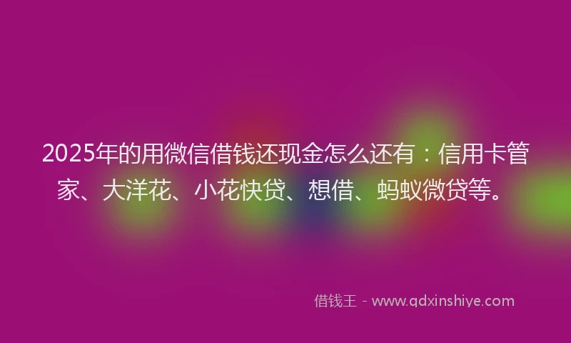 2025年的用微信借钱还现金怎么还有：信用卡管家、大洋花、小花快贷、想借、蚂蚁微贷等。