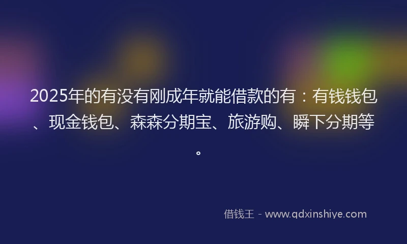2025年的有没有刚成年就能借款的有：有钱钱包、现金钱包、森森分期宝、旅游购、瞬下分期等。