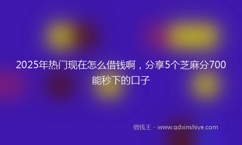 2025年热门现在怎么借钱啊，分享5个芝麻分700能秒下的口子