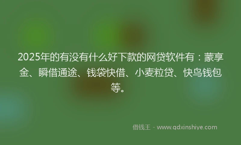 2025年的有没有什么好下款的网贷软件有：蒙享金、瞬借通途、钱袋快借、小麦粒贷、快鸟钱包等。