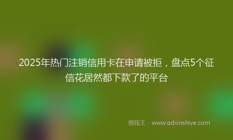 2025年热门注销信用卡在申请被拒，盘点5个征信花居然都下款了的平台