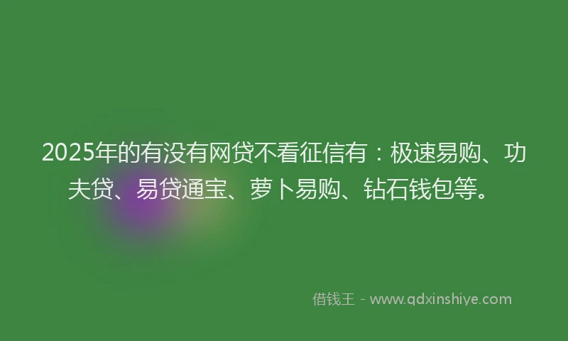 2025年的有没有网贷不看征信有：极速易购、功夫贷、易贷通宝、萝卜易购、钻石钱包等。