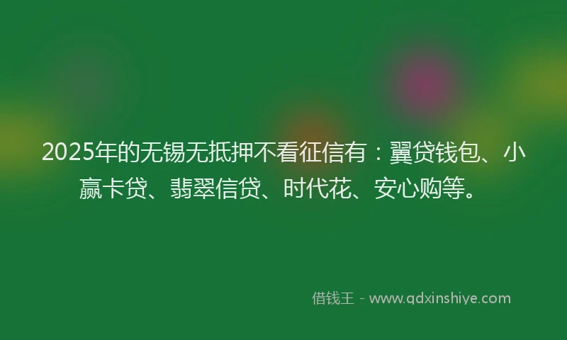 2025年的无锡无抵押不看征信有：翼贷钱包、小赢卡贷、翡翠信贷、时代花、安心购等。