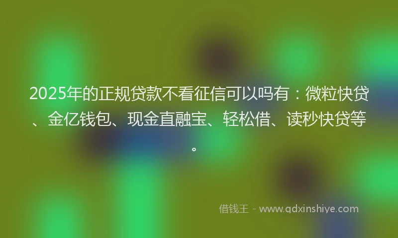 2025年的正规贷款不看征信可以吗有：微粒快贷、金亿钱包、现金直融宝、轻松借、读秒快贷等。