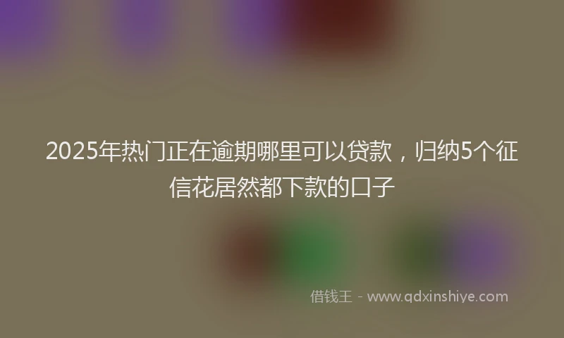 2025年热门正在逾期哪里可以贷款，归纳5个征信花居然都下款的口子