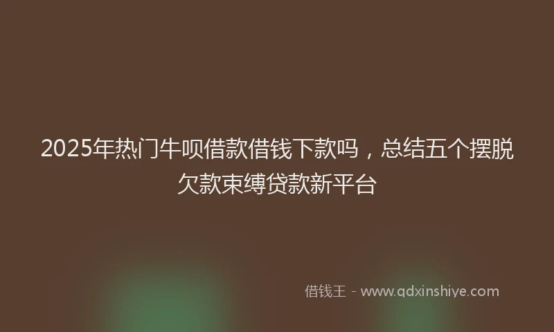 2025年热门牛呗借款借钱下款吗，总结五个摆脱欠款束缚贷款新平台