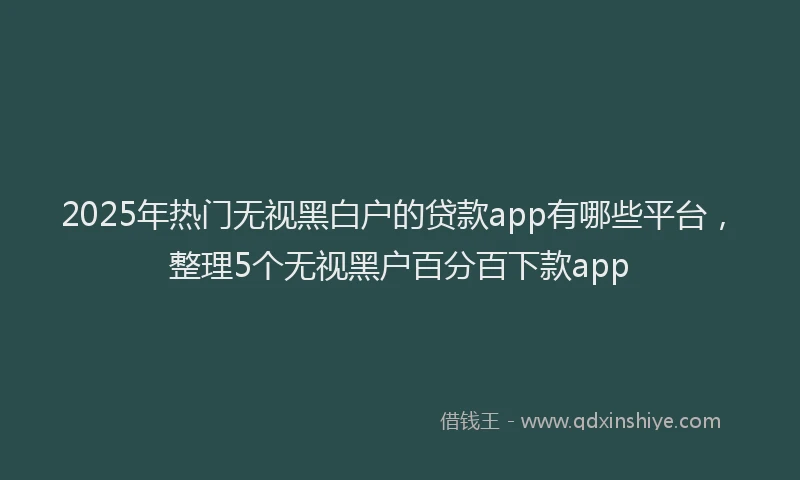 2025年热门无视黑白户的贷款app有哪些平台，整理5个无视黑户百分百下款app