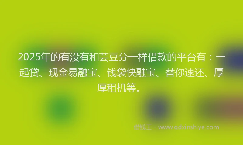 2025年的有没有和芸豆分一样借款的平台有：一起贷、现金易融宝、钱袋快融宝、替你速还、厚厚租机等。
