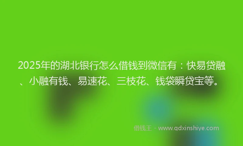 2025年的湖北银行怎么借钱到微信有：快易贷融、小融有钱、易速花、三枝花、钱袋瞬贷宝等。