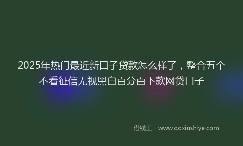 2025年热门最近新口子贷款怎么样了，整合五个不看征信无视黑白百分百下款网贷口子