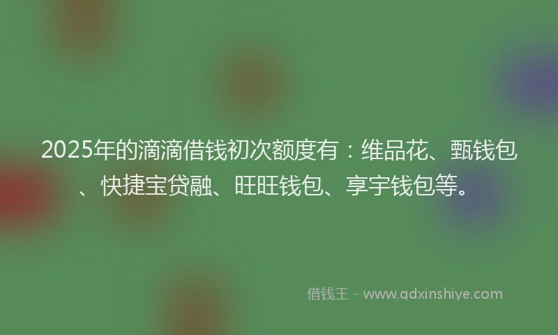 2025年的滴滴借钱初次额度有：维品花、甄钱包、快捷宝贷融、旺旺钱包、享宇钱包等。