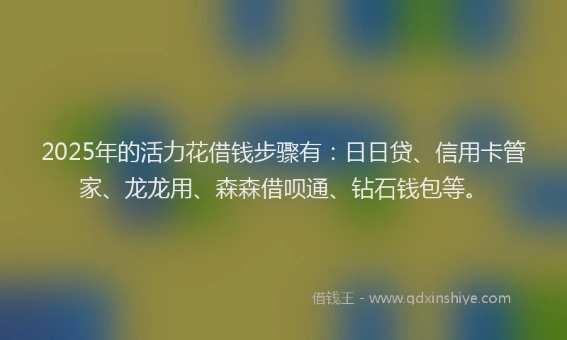 2025年的活力花借钱步骤有：日日贷、信用卡管家、龙龙用、森森借呗通、钻石钱包等。