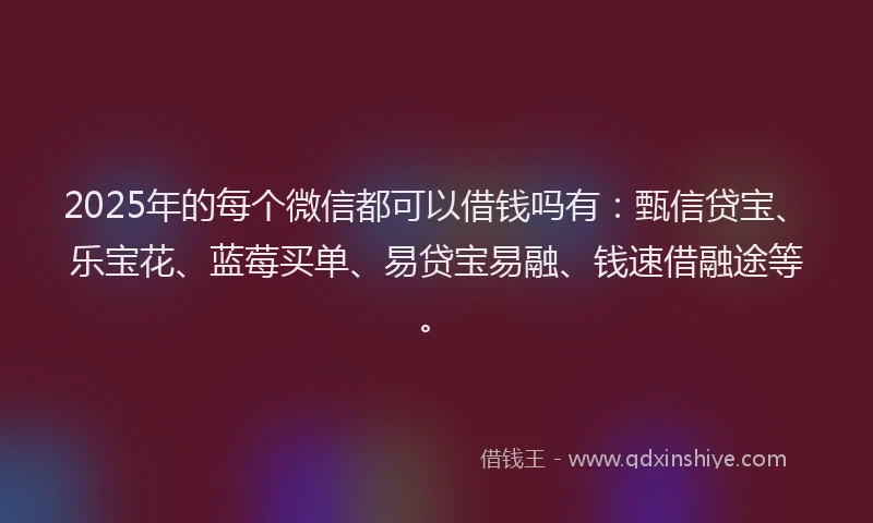 2025年的每个微信都可以借钱吗有：甄信贷宝、乐宝花、蓝莓买单、易贷宝易融、钱速借融途等。
