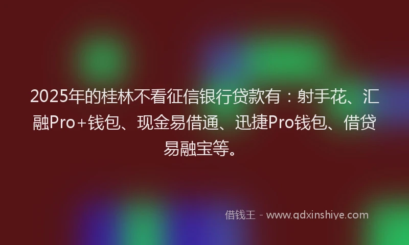 2025年的桂林不看征信银行贷款有：射手花、汇融Pro+钱包、现金易借通、迅捷Pro钱包、借贷易融宝等。