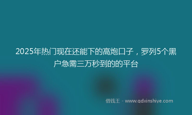 2025年热门现在还能下的高炮口子，罗列5个黑户急需三万秒到的的平台