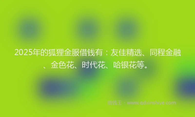 2025年的狐狸金服借钱有：友佳精选、同程金融、金色花、时代花、哈银花等。