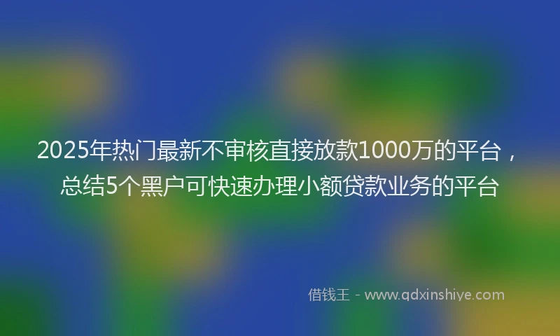 2025年热门最新不审核直接放款1000万的平台，总结5个黑户可快速办理小额贷款业务的平台