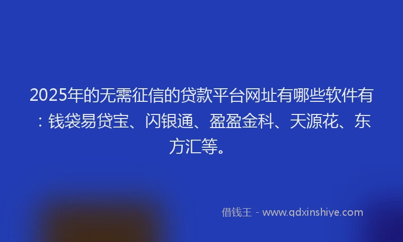2025年的无需征信的贷款平台网址有哪些软件有：钱袋易贷宝、闪银通、盈盈金科、天源花、东方汇等。
