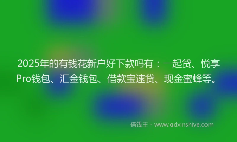 2025年的有钱花新户好下款吗有：一起贷、悦享Pro钱包、汇金钱包、借款宝速贷、现金蜜蜂等。