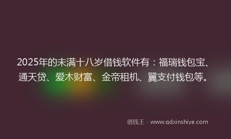 2025年的未满十八岁借钱软件有：福瑞钱包宝、通天贷、爱木财富、金帝租机、翼支付钱包等。