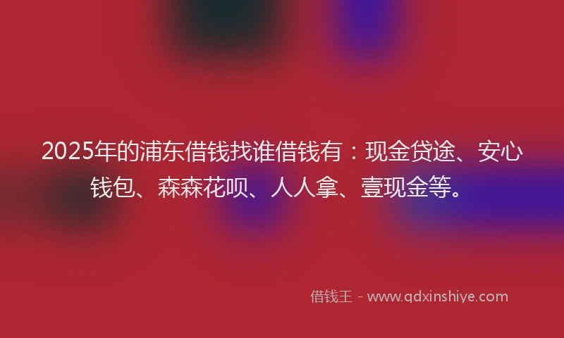 2025年的浦东借钱找谁借钱有：现金贷途、安心钱包、森森花呗、人人拿、壹现金等。