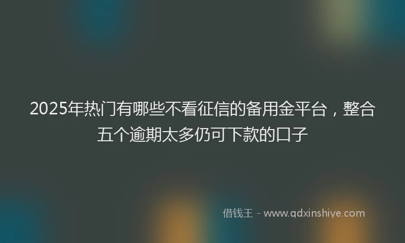 2025年热门有哪些不看征信的备用金平台，整合五个逾期太多仍可下款的口子