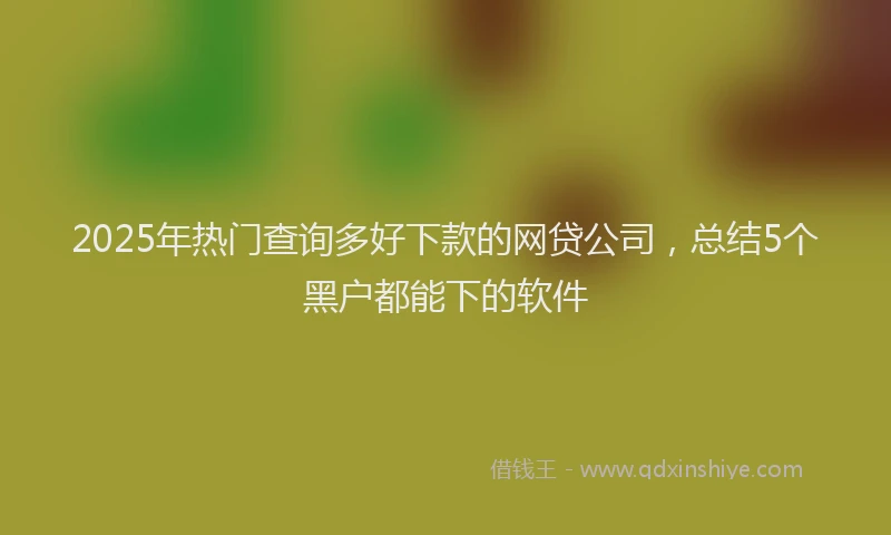 2025年热门查询多好下款的网贷公司，总结5个黑户都能下的软件