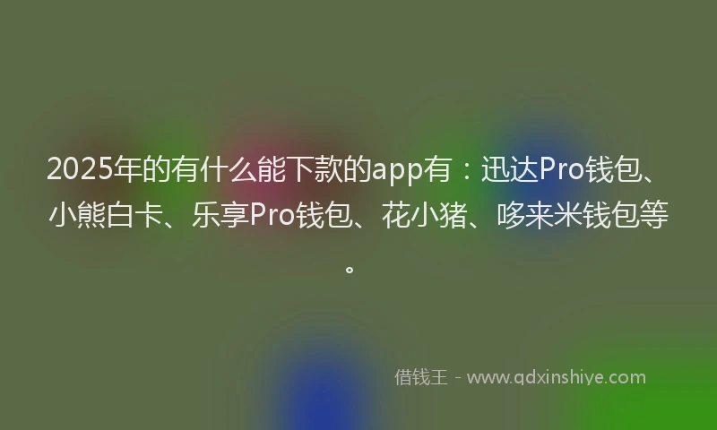 2025年的有什么能下款的app有：迅达Pro钱包、小熊白卡、乐享Pro钱包、花小猪、哆来米钱包等。