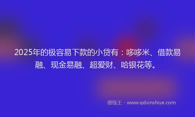 2025年的极容易下款的小贷有：哆哆米、借款易融、现金易融、超爱财、哈银花等。