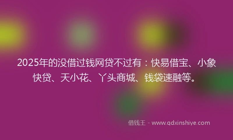 2025年的没借过钱网贷不过有：快易借宝、小象快贷、天小花、丫头商城、钱袋速融等。