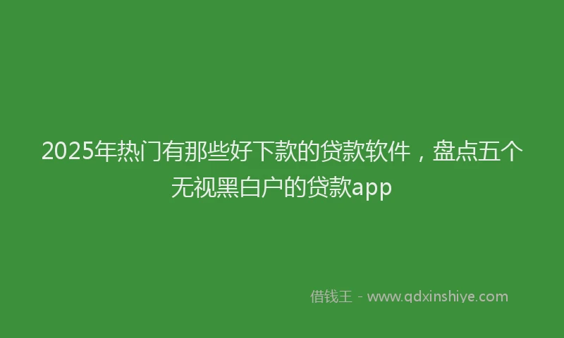 2025年热门有那些好下款的贷款软件，盘点五个无视黑白户的贷款app
