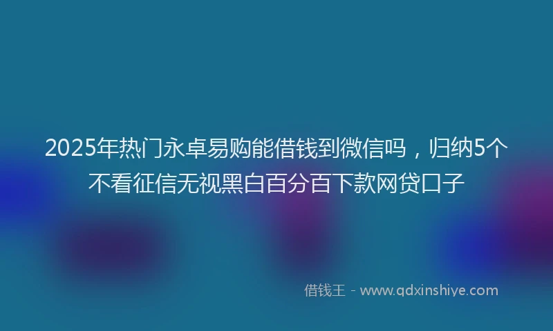 2025年热门永卓易购能借钱到微信吗，归纳5个不看征信无视黑白百分百下款网贷口子