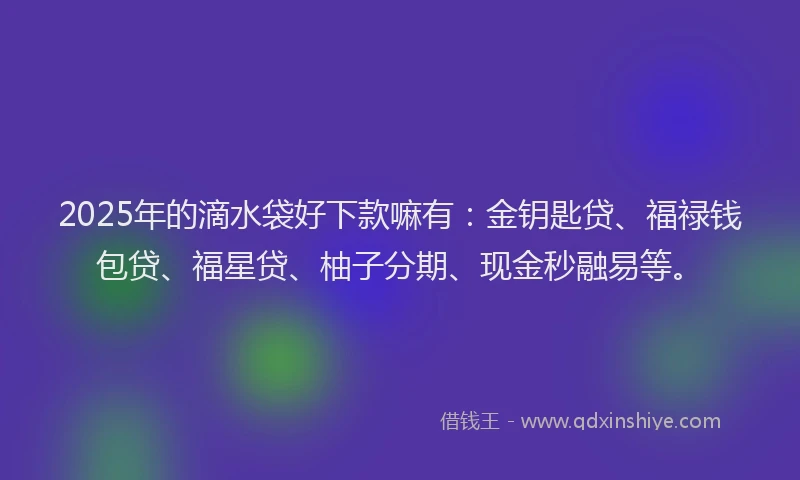 2025年的滴水袋好下款嘛有：金钥匙贷、福禄钱包贷、福星贷、柚子分期、现金秒融易等。