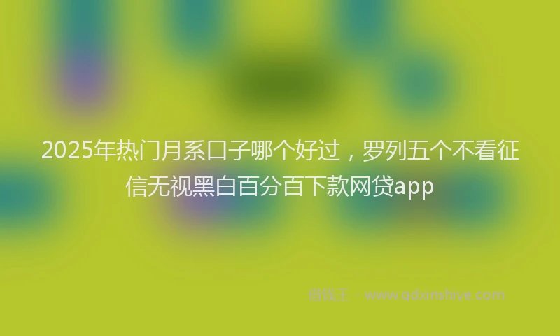 2025年热门月系口子哪个好过，罗列五个不看征信无视黑白百分百下款网贷app